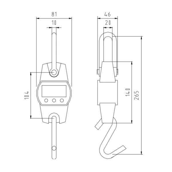 Technical drawing of a Small Crane Scale Grls Series with dimensional annotations.