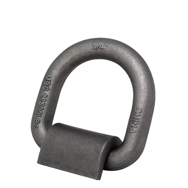 Heavy-duty lifting and Lashing D Ring with a capacity marking against a neutral background.