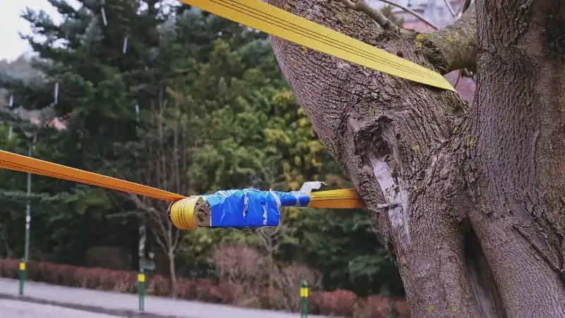 Per quanto tempo è possibile utilizzare le cinghie a cricchetto: durata e consigli sulla sicurezza